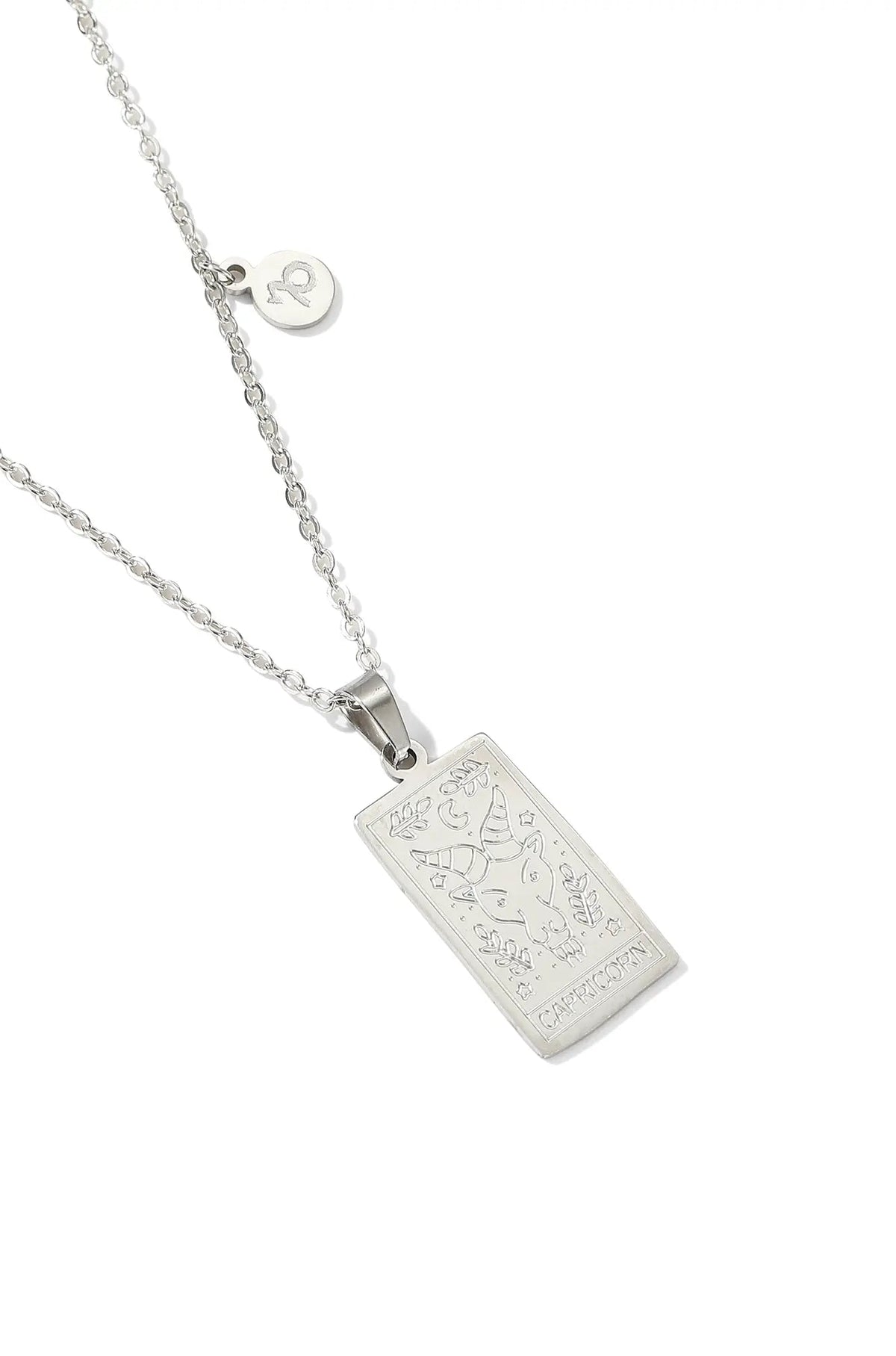 Original product photograph: Zodiac Sign Necklace — Silver / Capricorn